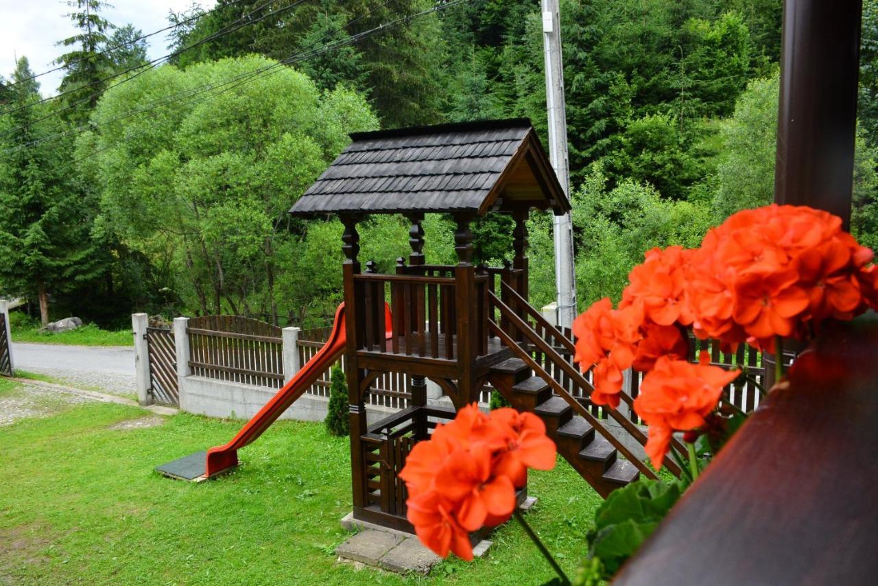 ホテル Cabana Cascada Cailor Borşa エクステリア 写真