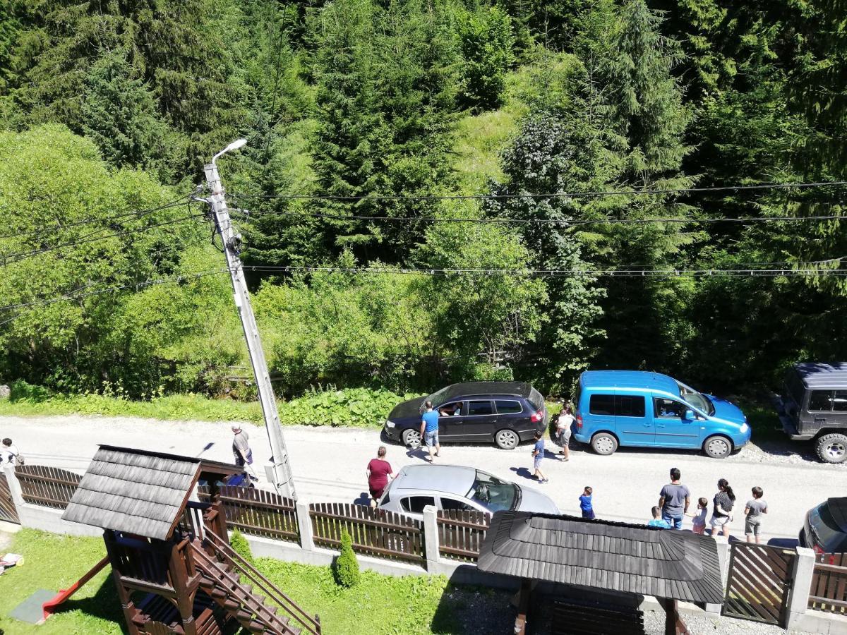 ホテル Cabana Cascada Cailor Borşa エクステリア 写真