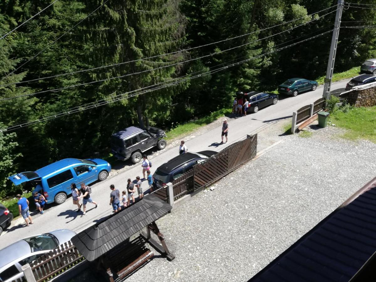 ホテル Cabana Cascada Cailor Borşa エクステリア 写真
