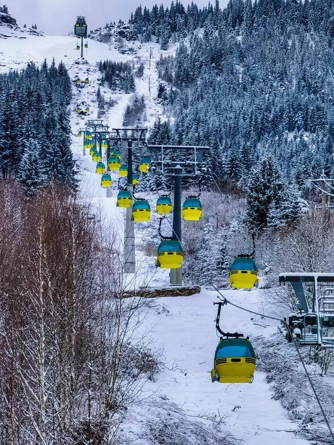 ホテル Cabana Cascada Cailor Borşa エクステリア 写真