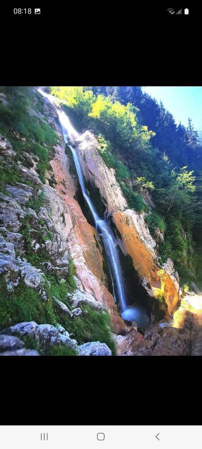 ホテル Cabana Cascada Cailor Borşa エクステリア 写真